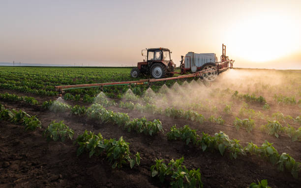 Best Pest Removal Services  in Great River, NY
