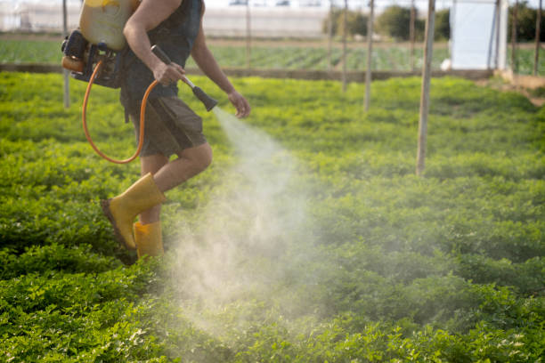Best Pest Prevention Services  in Great River, NY