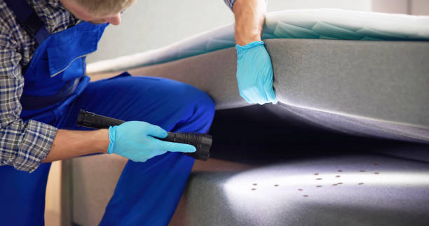 Best Local Pest Control Services  in Great River, NY