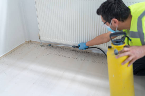 Best Termite Control Services  in Great River, NY