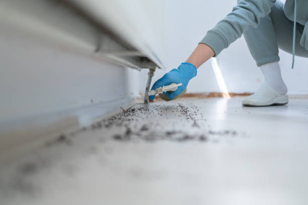 Best Best Pest Control Companies  in Great River, NY